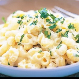 Cheese Pasta Entrees