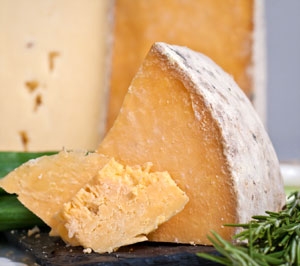 aged cheddar cheese