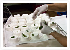 Making Chèvre By Hand Making Chevre By Hand